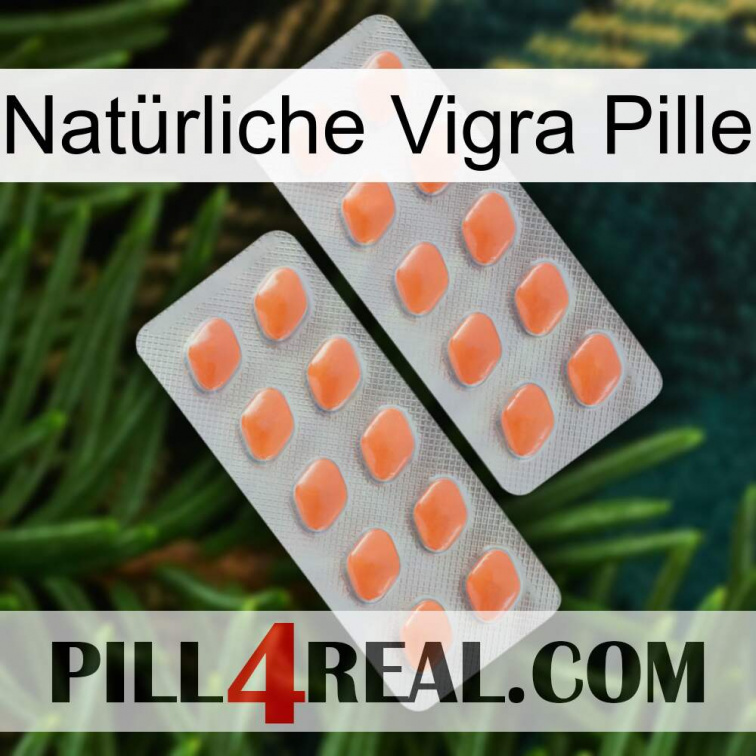 Natürliche Vigra Pille 27